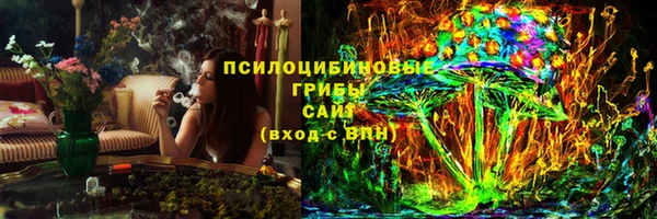 твердый Абаза