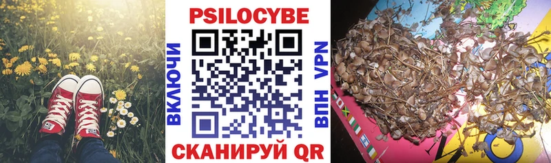 kraken ONION  закладка  Оренбург  Галлюциногенные грибы прущие грибы 