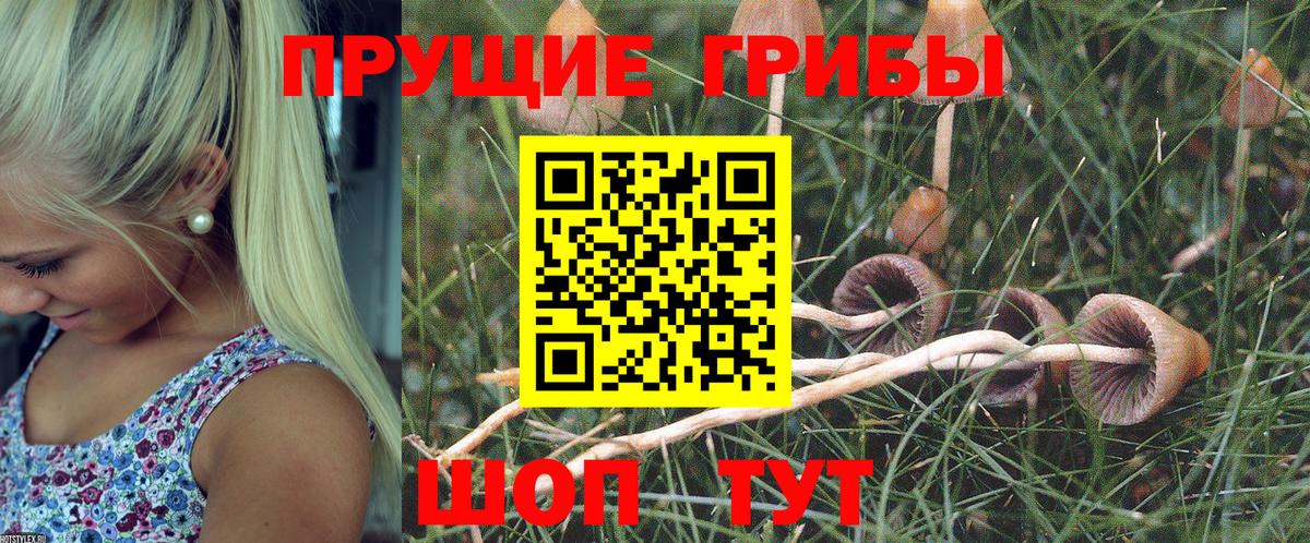 Псилоцибиновые грибы Psilocybe  Галлюциногенные грибы Psilocybine cubensis  Оренбург  Вход с VPN 